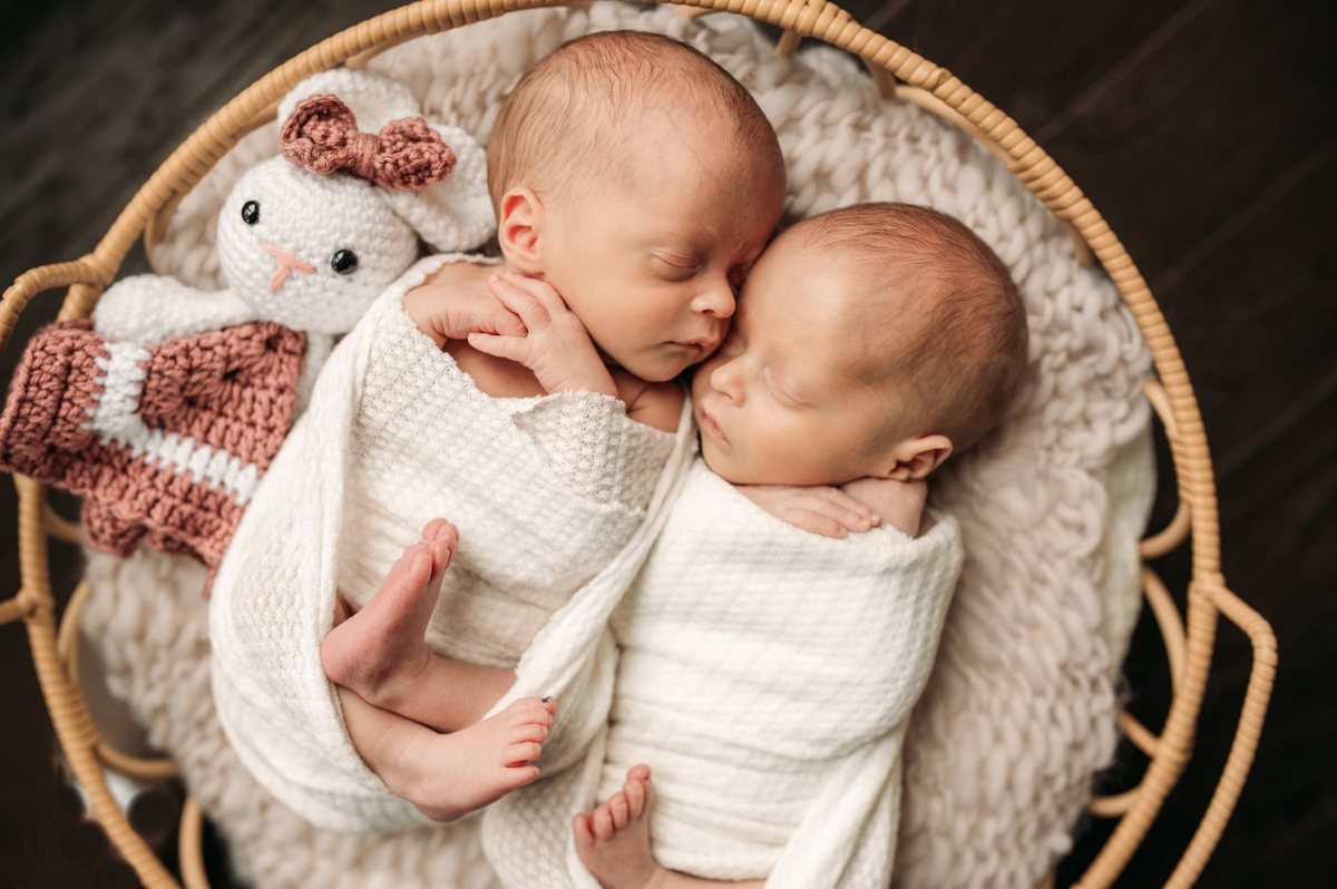 Newborn twins swaddled together in a woven basket with a knit bunny — newborn photography in the Kansas City area